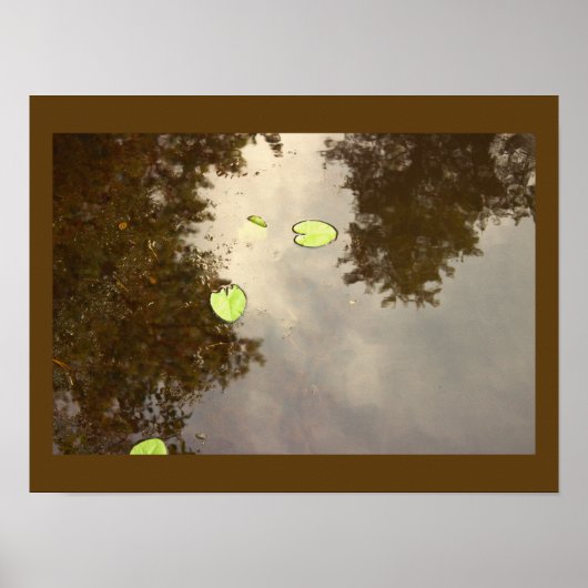 Floating Waterlilies Poster (Voorkant)