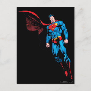 Floating with Cape Briefkaart