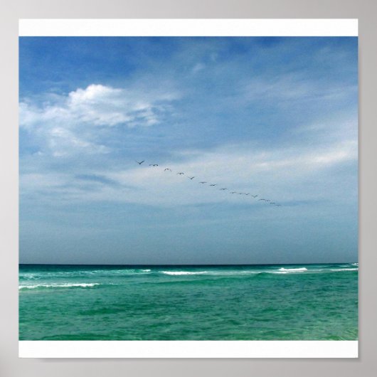 Flock in Flight - Destin, Florida Poster (Voorkant)