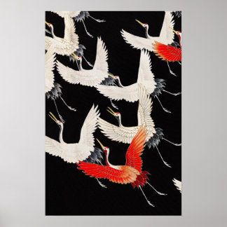 Flock of Crane Birds  kunst Poster