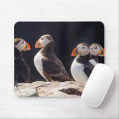 Flock of Puffins Muismat (Met muis)