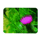 Flodmans Thistle Paarse Wilde Bloem Abstract Magneet (Horizontaal)