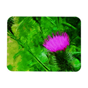 Flodmans Thistle Paarse Wilde Bloem Abstract Magneet