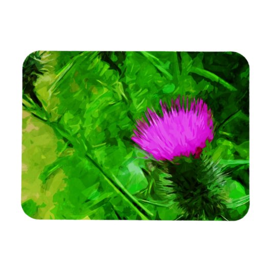 Flodmans Thistle Paarse Wilde Bloem Abstract Magneet (Horizontaal)