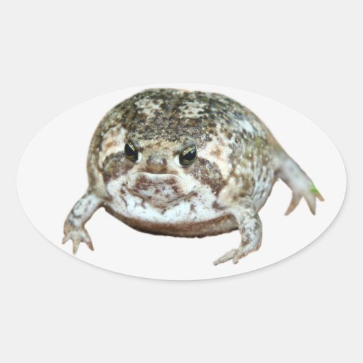 Flog Ovale Sticker (Voorkant)