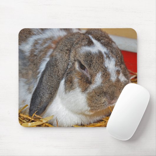 Floppy Eared Bunny Muismat (Met muis)