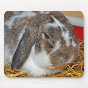 Floppy Eared Bunny Muismat