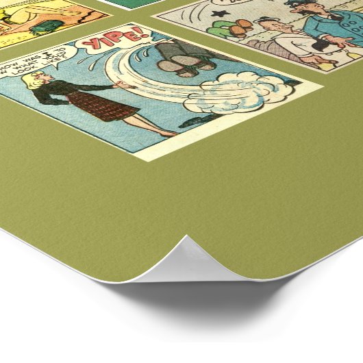 "Flops of N. America"-Poster Poster (Hoek)