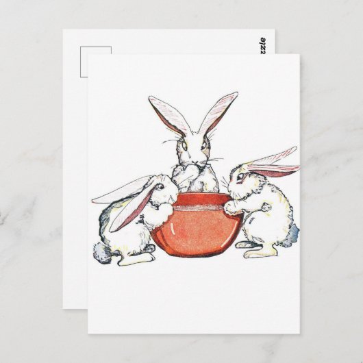 Flopsy, Mopsy en Cotton Tail Briefkaart (Voorkant / Achterkant)