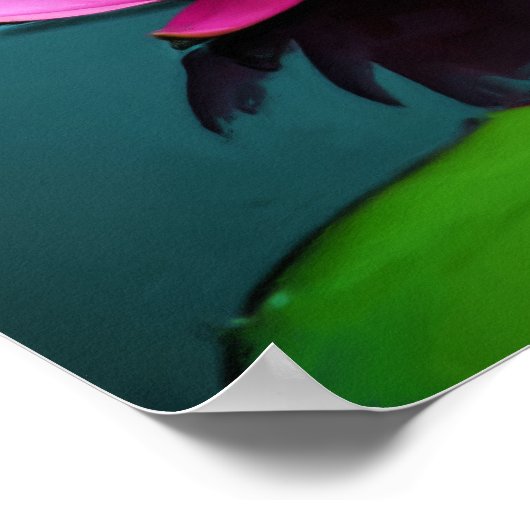 Flor 06 Ninféia Rosa Poster (Hoek)