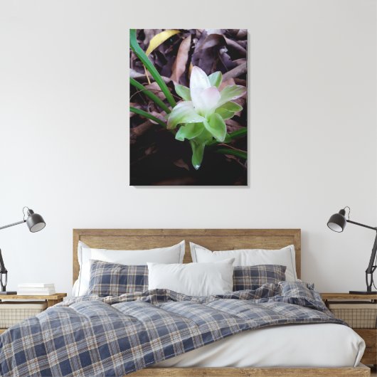 flor de açafrão da-terra canvas afdruk (Insitu (Slaapkamer))