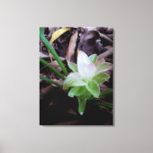 flor de açafrão da-terra canvas afdruk (Voorkant)