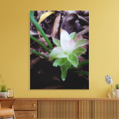 flor de açafrão da-terra canvas afdruk (Insitu (Woonkamer))