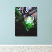 flor de açafrão da terra canvas afdruk (Insitu (Houten vloer))