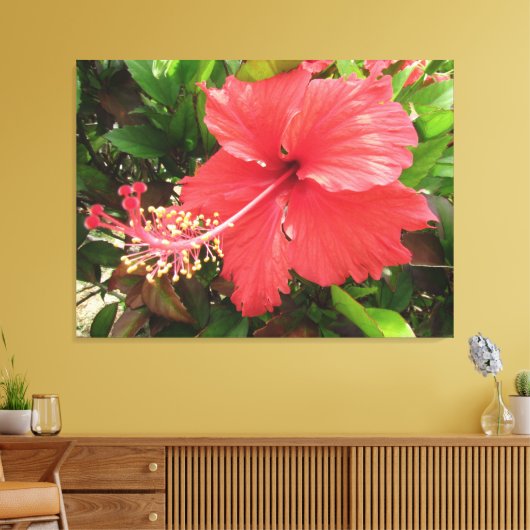 Flor de Amapola Canvas Afdruk (Insitu (Woonkamer))