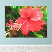 Flor de Amapola Canvas Afdruk (Insitu (Houten vloer))