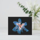 "Flor de la Mar" — Briefkaart (Staand voorkant)