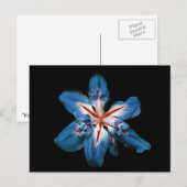 "Flor de la Mar" — Briefkaart (Voorkant / Achterkant)