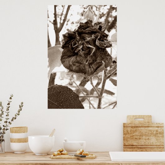 flor de papel poster (Keuken)