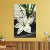 flor de pimentão canvas afdruk (Insitu (Woonkamer))