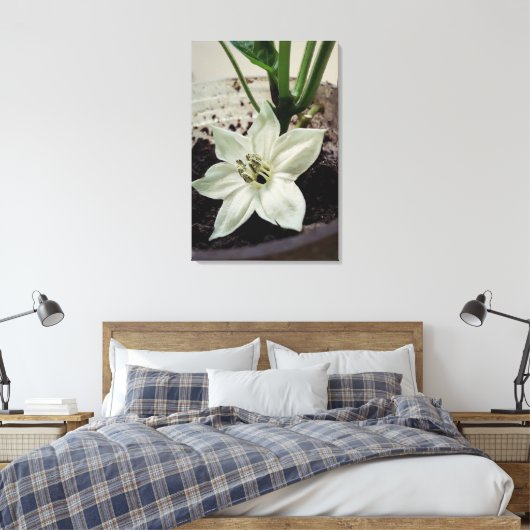 flor de pimentão canvas afdruk (Insitu (Slaapkamer))