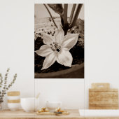 flor de pimentão - old poster (Keuken)