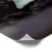 flor de pimentão poster (Hoek)