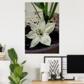 flor de pimentão poster (Thuiskantoor)