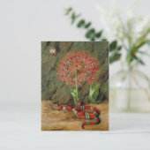 Flor Imperiale, Coral Snake en Spider, Brazilië Briefkaart (Staand voorkant)