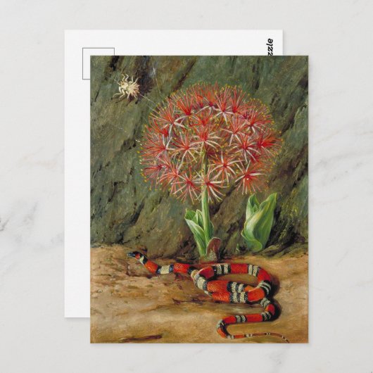 Flor Imperiale Coral Snake en Spider Briefkaart (Voorkant / Achterkant)