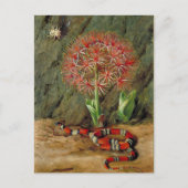 Flor Imperiale Coral Snake en Spider Briefkaart (Voorkant)