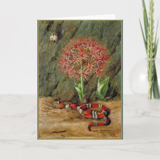 Flor Imperiale Coral Snake en Spider Kaart (Voorkant)