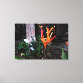 flor laranjada canvas afdruk (Voorkant)