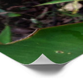 flor laranjada poster (Hoek)