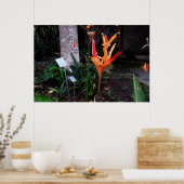 flor laranjada poster (Keuken)