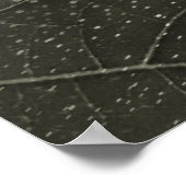 flor morta poster (Hoek)