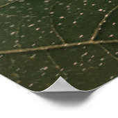 flor mortal poster (Hoek)