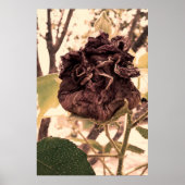 flor mortal poster (Voorkant)