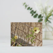 Flor Quiabo Flower green & yellow Briefkaart (Staand voorkant)