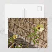 Flor Quiabo Flower green & yellow Briefkaart (Voorkant / Achterkant)