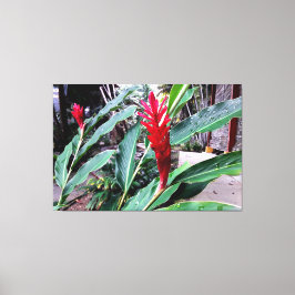 flor vermelha canvas afdruk