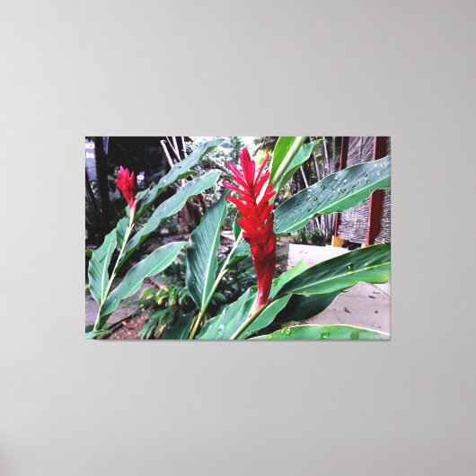 flor vermelha canvas afdruk (Voorkant)