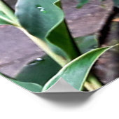 flor vermelha poster (Hoek)