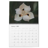 Flora 18 maanden kalender (Jan 2027)
