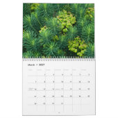 Flora 2011 kalender (Mar 2027)