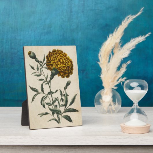  flora Afrikaanse marigold Fotoplaat (Zijkant)