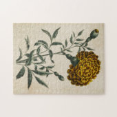 flora Afrikaanse marigold Legpuzzel (Horizontaal)