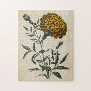 flora Afrikaanse marigold Legpuzzel