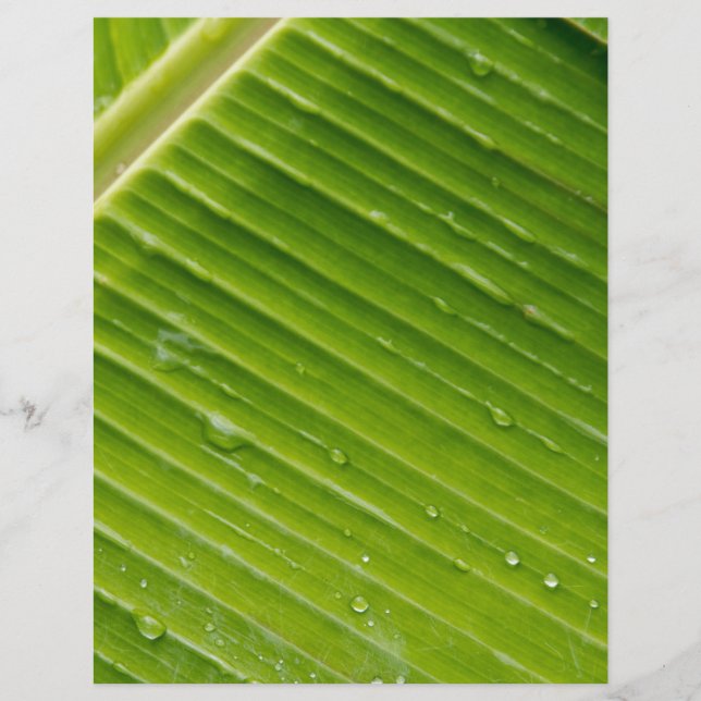 Flora Dominica 1 (Voorkant)