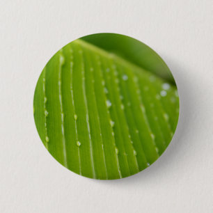 Flora Dominica 2 Ronde Button 5,7 Cm